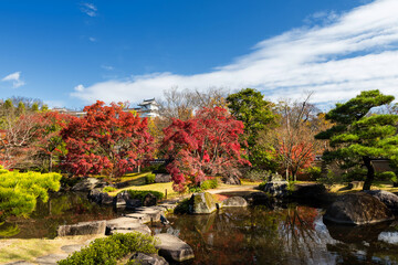 Fototapeta na wymiar Koko-en autumn garden with Himeji castle, Japan