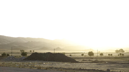 plant in the mountains