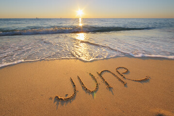 June word on sea shore during the sunset.