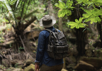 Fototapeta premium The hikers are traveling in the rain forest with beautiful nature. Young Asians go on a journey through the forest.
