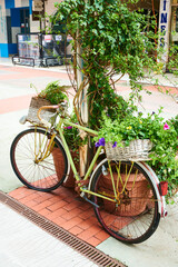 Fototapeta na wymiar Old bike with flowers in the street