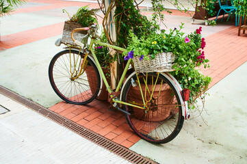 Old bike with flowers in the street