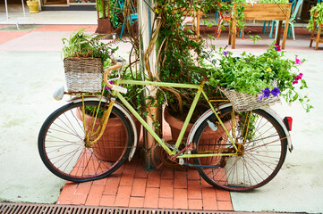 Fototapeta na wymiar Old bike with flowers in the street