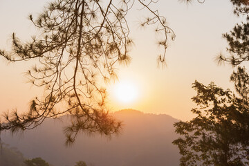Beautiful landscape mountain and sunshine on sky with silhouette of pine trees and branches ,leaves.