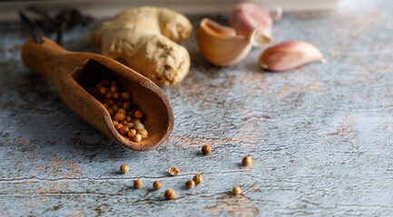 Dried spices coriander. Seasoning, close up of dried coriander grains in a herb spoon on a rustic table top.