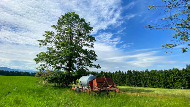 H&uuml;nersedelturm im Schwarzwald
