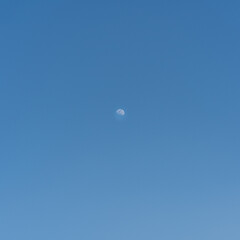 한낮의 달
