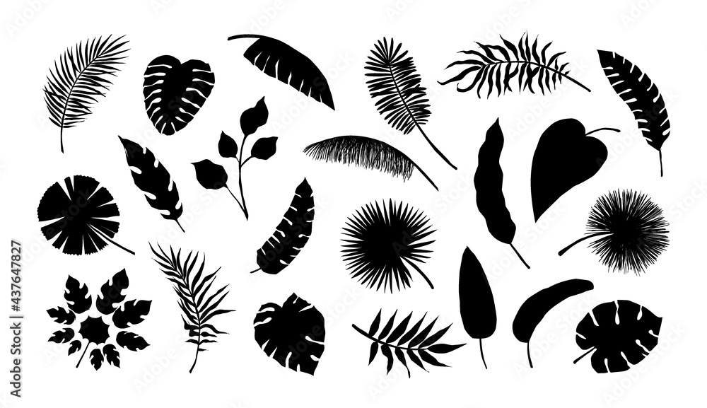 Wall mural exotic leaf silhouette. tropical monstera and banana tree branches. black and white coconut palm fro