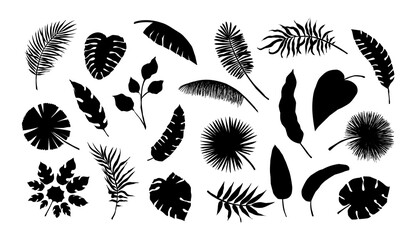 Exotic leaf silhouette. Tropical monstera and banana tree branches. Black and white coconut palm fronds. Summer foliage. Isolated jungle plants. Vector decorative natural elements set