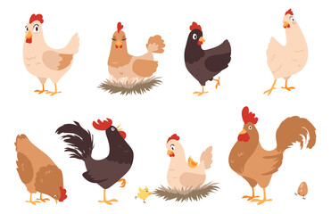 Cartoon chicken. Funny rooster and hen. Farm animal mascots with wings and feathers. Activities of domestic birds. Chicks sitting in nests. Cheerful cocks walking. Vector poultry set