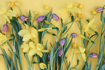Spring blossoming daffodils and tulip flowers on light yellow background, pastel and soft springtime floral card