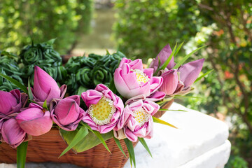 Fototapeta na wymiar Pink lotus flowers for Buddhist temple in a basket.