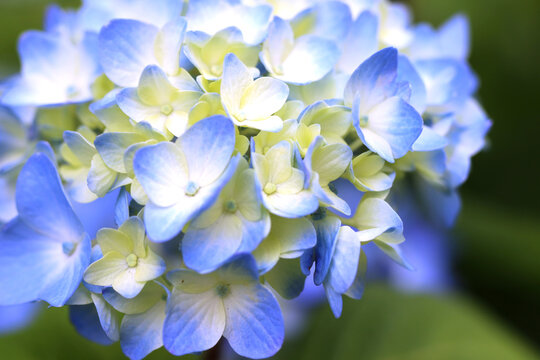 梅雨素材images Browse 38 Stock Photos Vectors And Video Adobe Stock