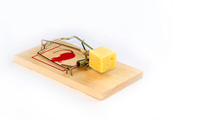 Wooden mouse trap with a piece of cheese, isolated on white background