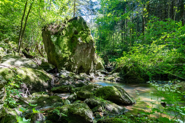 Mystic wilderness and breathtaking beauty of nature in Stillensteinklamm near Grein in Upper Austria