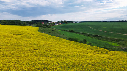 Fototapeta premium Blooming rapeseed field. Agricultural fields. The border with the grain field is visible. Aerial photography.
