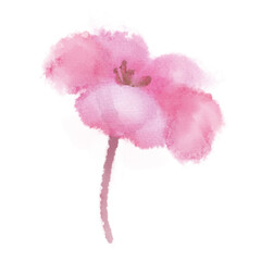イラスト素材　水彩　花　手描き　ピンク