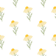 Vintage floral seamless pattern with yellow cute daisy flowers print. Isolated natural ornament.