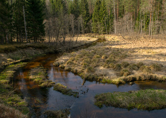 Fototapeta na wymiar spring landscape with a small wild river, bare trees, reflections in the water, dry grass on the river banks, Stikupe, Vaidava, Latvia