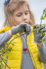 Daughter helps to prune branches in garden. Kid hands in grey gloves hold fresh tree branch. Small girl helps gardening tree. Child wearing clothes of trendy color of the year yellow and gray