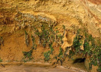 abstract sandstone wall texture, sand, moss and lichen patterns on the wall, suitable for background