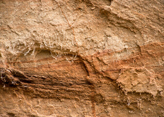 abstract sandstone wall texture, sand, moss and lichen patterns on the wall, suitable for background
