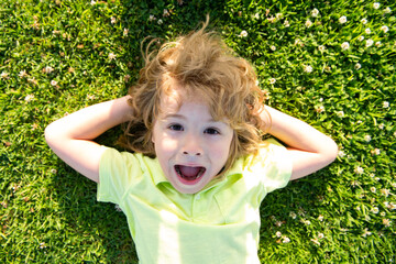 Excited amazed Kid lying on grass, close up head of cute child in summer nature park. Kids enjoying summer.