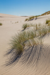Dunes in the Slowinski National Park. Landscape with beautiful sky, clouds and dunes in the sun in...