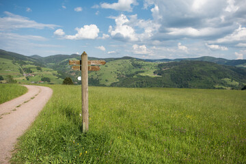 Signpost on a hiking trail in the Black Forest, Germany 