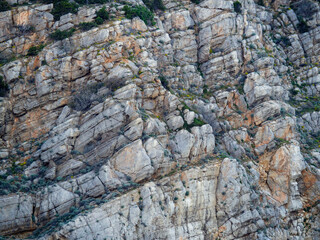 Textured background of a steep gray, brown rock with sparse green bushes. Relief mountain with cracks and layers, slabs in full screen.