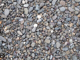 Texture of light, gray and white dry sea pebbles from the coast in full screen. Large and small smooth stones. The concept of the background is about a summer vacation.