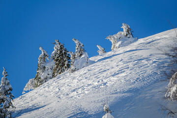 Fototapeta na wymiar Winter landscape in Slovenian alps with snow