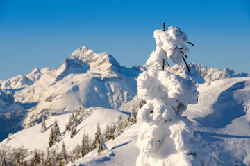 Fototapeta na wymiar Highest Slovenian mountain Triglaw in winter snow