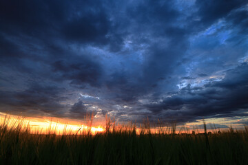 niska perespektywa ze zboża na zachodzie 