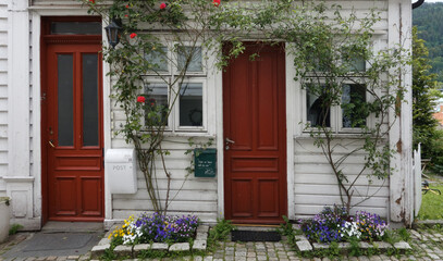 Fototapeta na wymiar Picturesque facade of a traditional wooden house in white on the wooden exterior, white windows, and red door. Beautiful courtyard, with impressive red roses and other flowers. Bergen, Norway