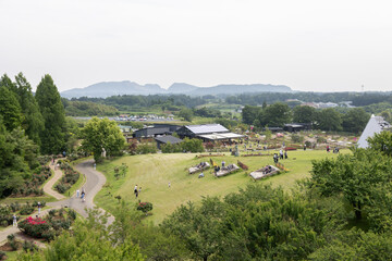 Obraz premium いばらきフラワーパーク