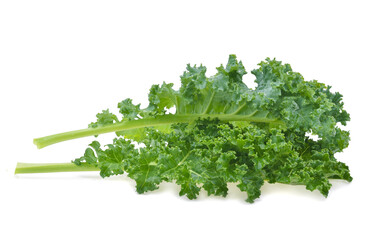 Fototapeta premium Creative layout made of kale on white background