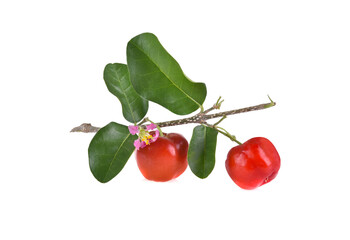 Barbados cherry,Ripe thai cherry on white background