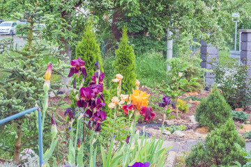 Frühling Sommer 2021