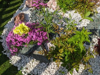 Landscaping. Alpine-style lawn near the house.