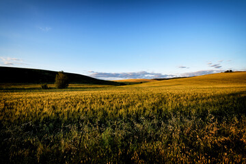 Magical places and hills of Tuscany  