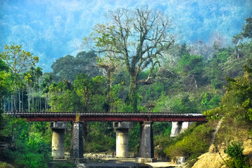 Fototapeta na wymiar bridge in the forest, bridge, landscape, a bridge in the forest 