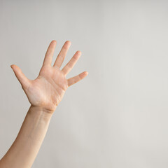Five fingers, open palm, five fingers on a woman's hand. Hand gestures