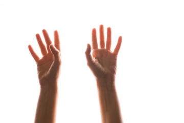 Hand gestures. Elegant female hands reach up, isolated on white,
