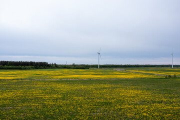 aerial view of wind turbines farm, sustainable and clean electric power, future of renewable energy