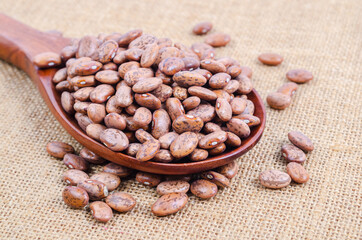 Raw Organic cranberry beans