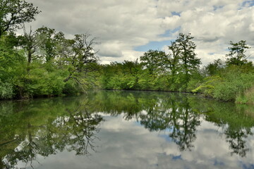 Fototapeta na wymiar Rheinauen im Naturschutzgebiet Taubergießen