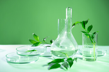 Green leaf plants in a laboratory flask, eco-friendly products in cosmetology, concept.