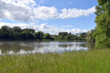 Rheinauen im Naturschutzgebiet Taubergießen