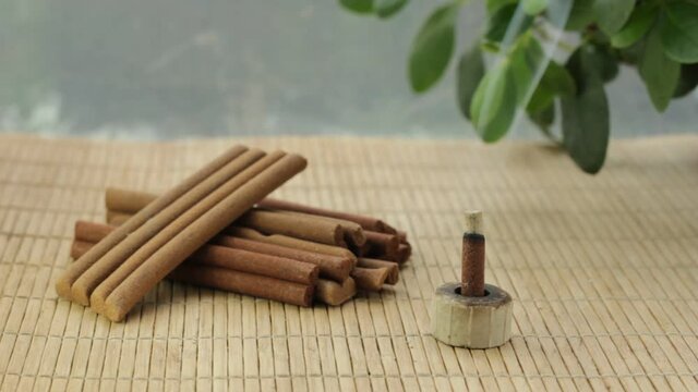 A bunch of nepal aroma sticks on a chinese wooden stand, one is smocking, leaves of a green plant and blurred background. Sandal tree incense on a bamboo surface.